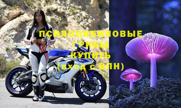 крисы Балахна