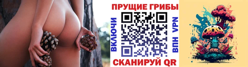 Псилоцибиновые грибы GOLDEN TEACHER  Магас 