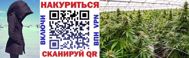 Канабис Bruce Banner  Магас 